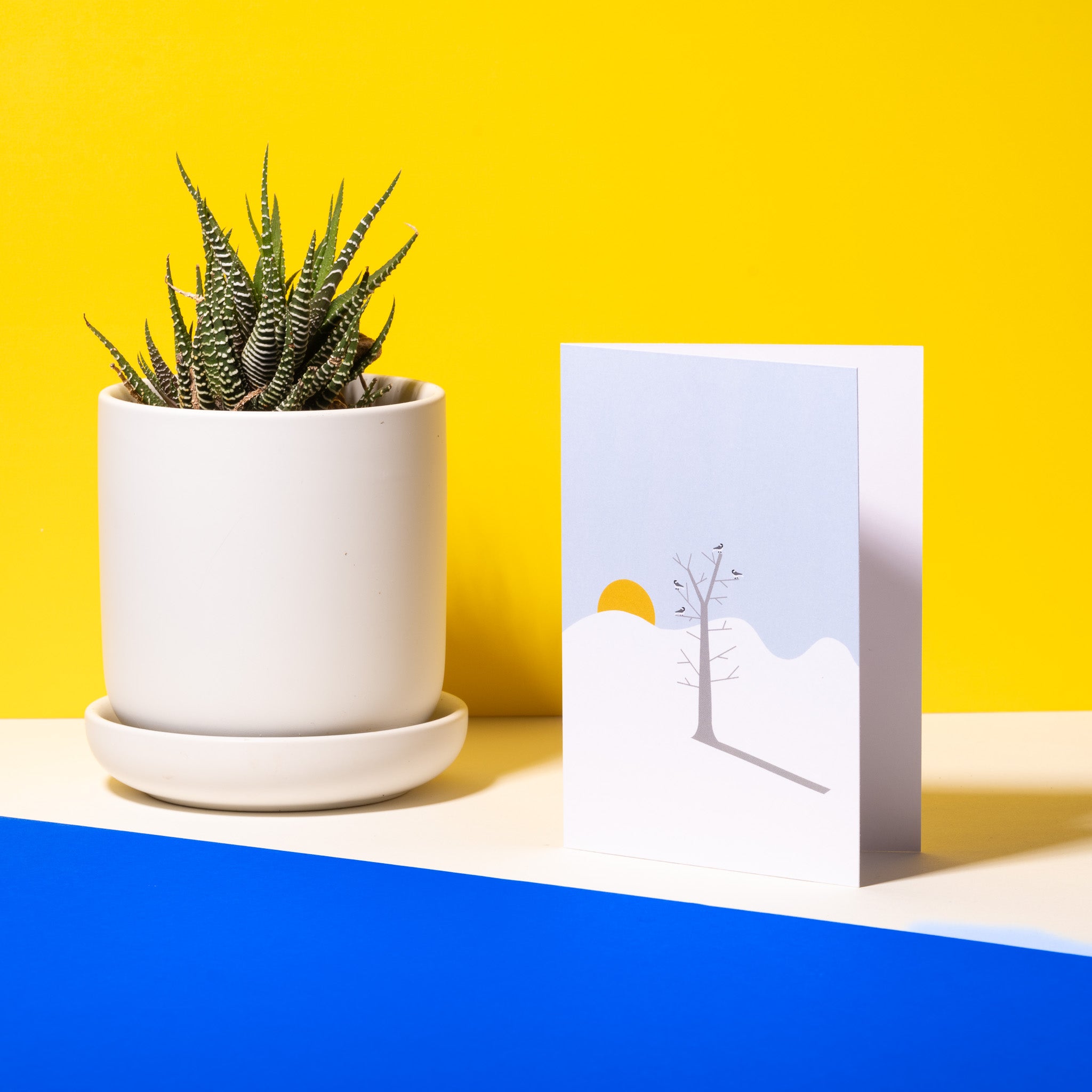 Greeting Cards